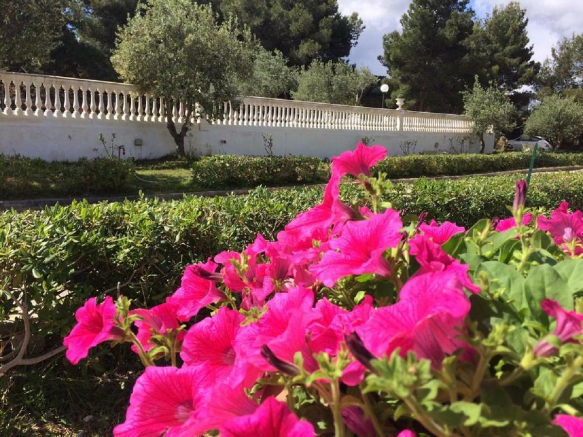 Villa Nunziatella Badia Trappeto  Buitenkant foto